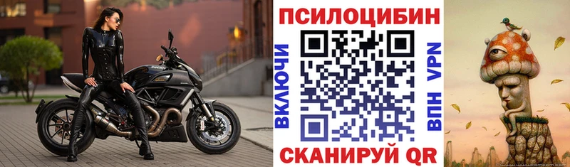 MEGA ONION  Струнино  Псилоцибиновые грибы мухоморы 